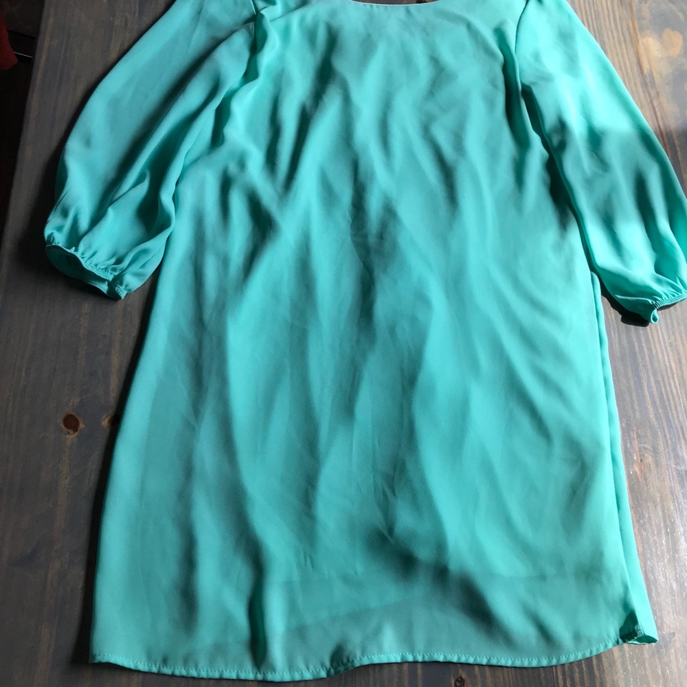 Sage Brand DRESS - Picture 2 of 3